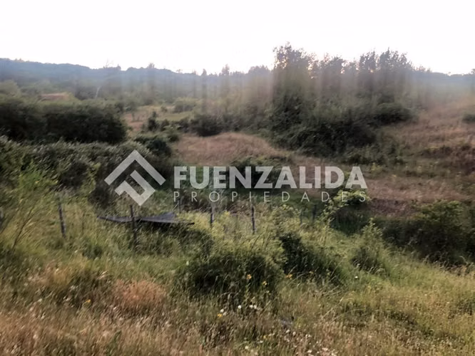 Parcela en Venta en Nacimiento, Región del Bio Bio