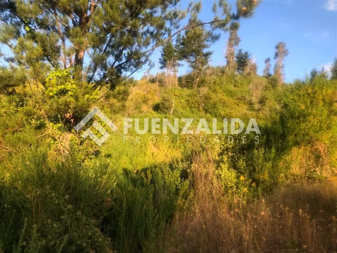 Parcela en Venta en Nacimiento, Región del Bio Bio