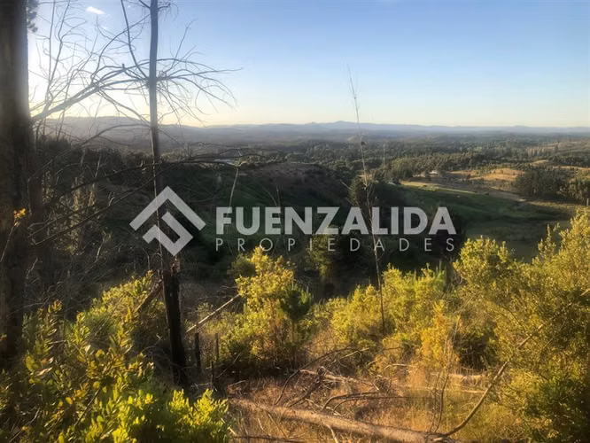 Parcela en Venta en Nacimiento, Región del Bio Bio