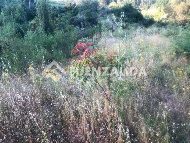 Parcela en Venta en Nacimiento, Región del Bio Bio
