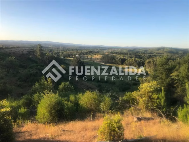 Parcela en Venta en Nacimiento, Región del Bio Bio