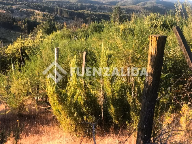 Parcela en Venta en Nacimiento, Región del Bio Bio