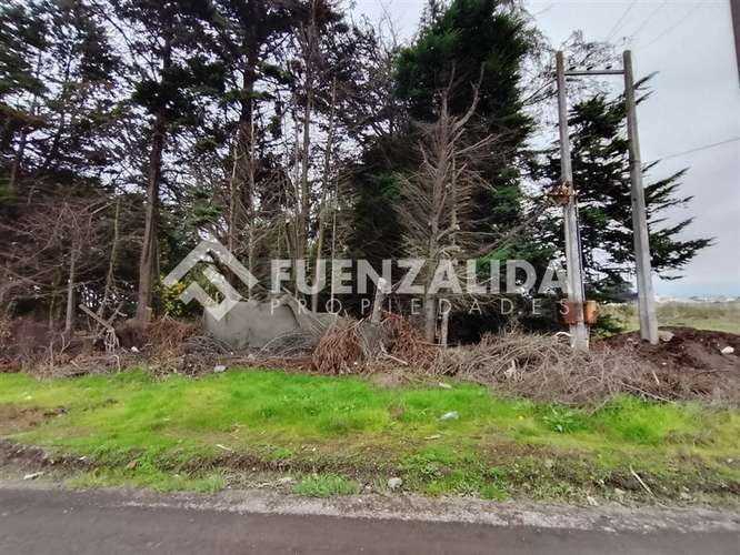 Terreno de 8.037 m2 en Venta Sector Capataces, Coronel