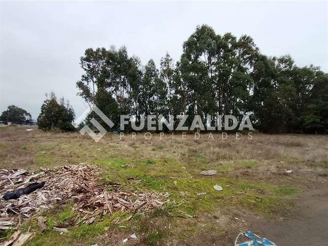 Terreno de 8.037 m2 en Venta Sector Capataces, Coronel