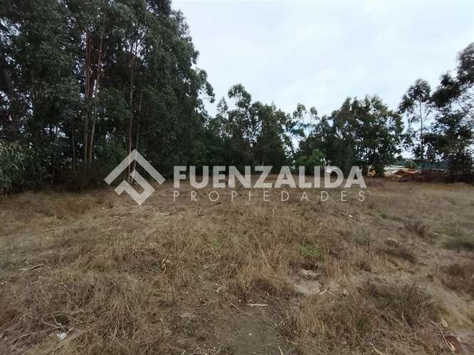 Terreno de 8.037 m2 en Venta Sector Capataces, Coronel