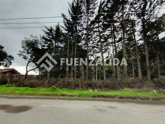 Terreno de 8.037 m2 en Venta Sector Capataces, Coronel
