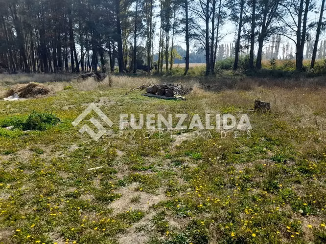 Parcela en venta con casa en Cabrero