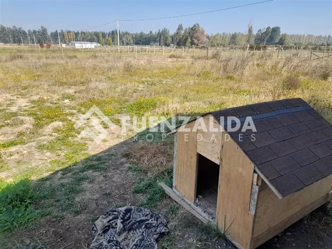Venta Parcela 5000 m2 con Casa 2D/2B a 19 km Cabrero - Imagen 15