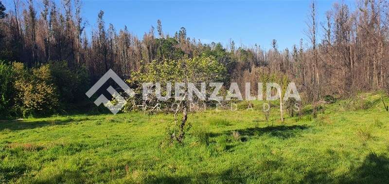 Terreno en venta con Alto Potencial Turístico en Tomé
