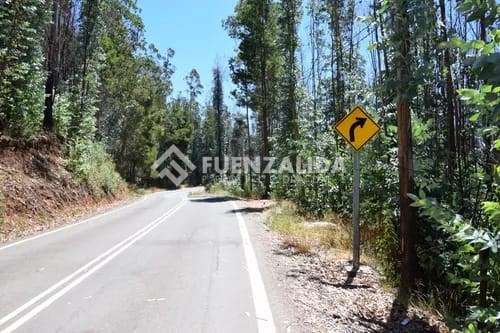 Terreno en venta con Alto Potencial Turístico en Tomé