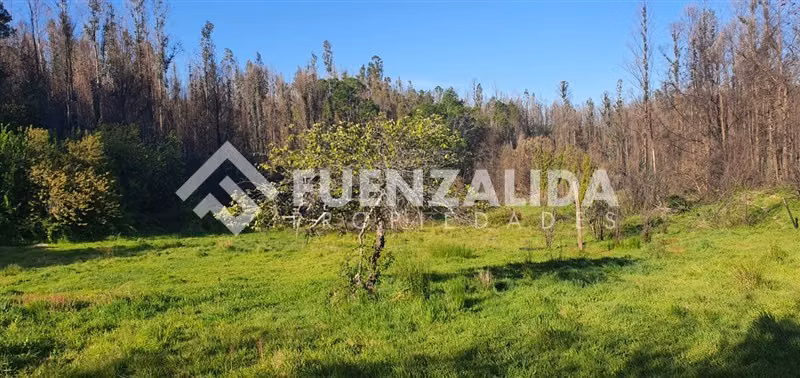 Terreno en venta con Alto Potencial Turístico en Tomé