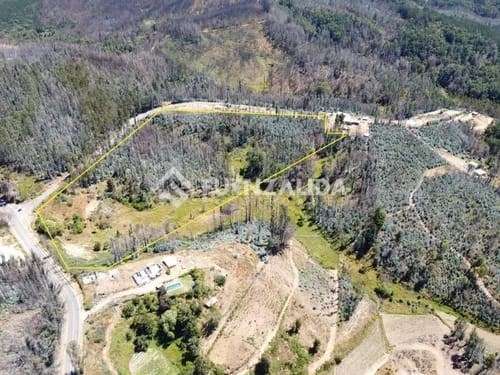 Terreno en venta con Alto Potencial Turístico en Tomé