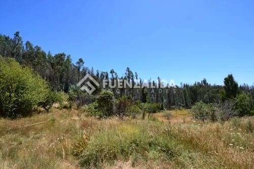 Terreno en venta con Alto Potencial Turístico en Tomé