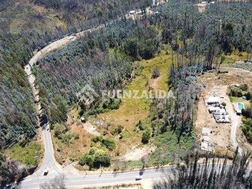 Terreno en venta con Alto Potencial Turístico en Tomé