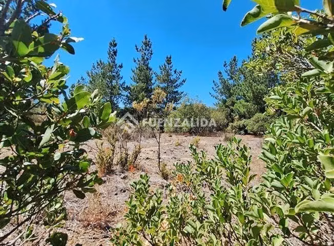 Parcela en Venta cerca de Laguna del Laja Antuco 5.286 m2