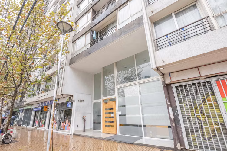 Avenida Vicuña Macke - Imagen 13