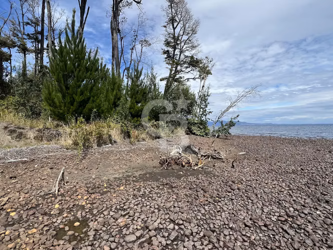 Lote orilla de lago Llanquihue y con bosque nativo. CBG