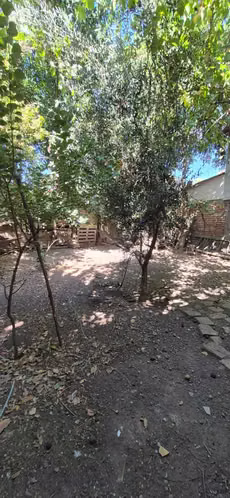 Camino el Real, con ruta H-10, Graneros  (155147) - Imagen 21