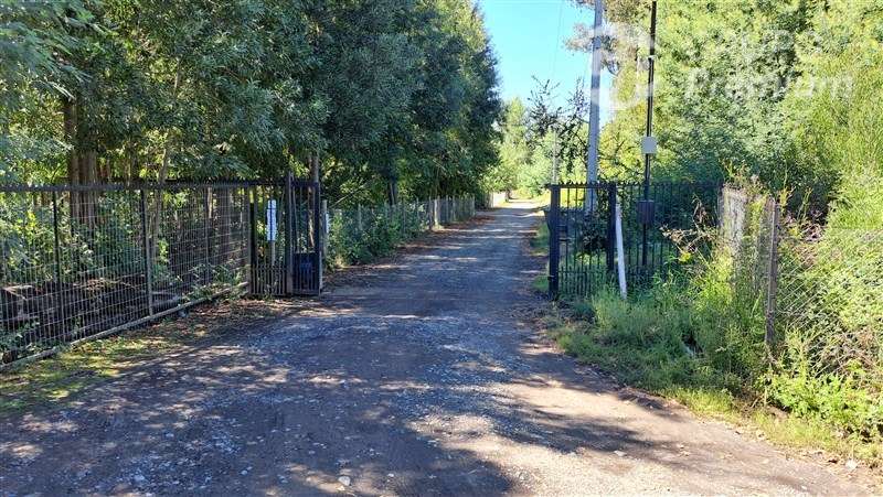 Parcela con casa en venta muy cerca de Los saltos del Laja.
