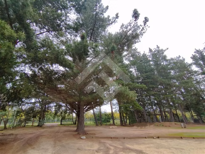 Parcela en venta en Algarrobo - Imagen 5