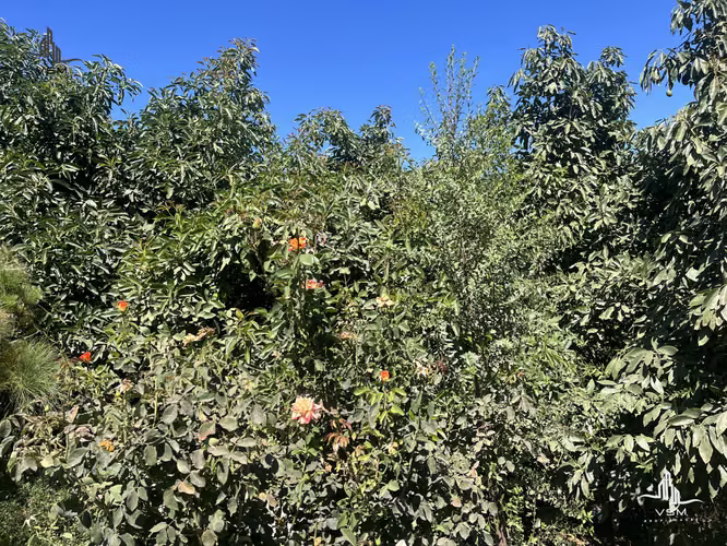 Terreno San Pedro, Quillota, Valparaíso - Imagen 12