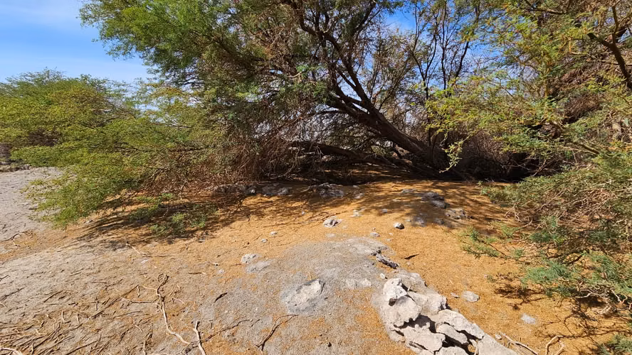 Parcelas de 5.000 mt2 en la Huayca