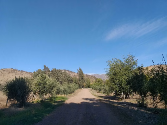 VENTA PROYECTO CASA, en parcela con terreno de 9.000mts2, vista 360° Hacie Chacabuco