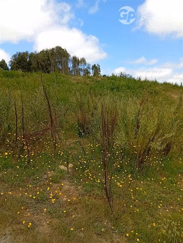 Parcela en venta en Isla grande de Chiloé, ancud