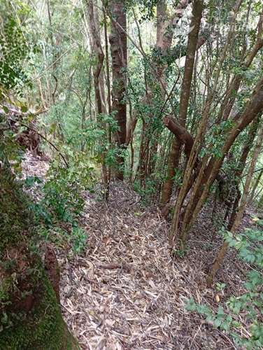 Parcela en venta en Isla grande de Chiloé, ancud - Imagen 4