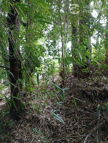 Parcela en venta en Isla grande de Chiloé, ancud - Imagen 8