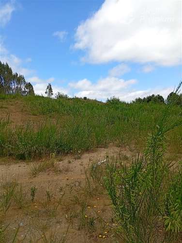 Parcela en venta en Isla grande de Chiloé, ancud - Imagen 11