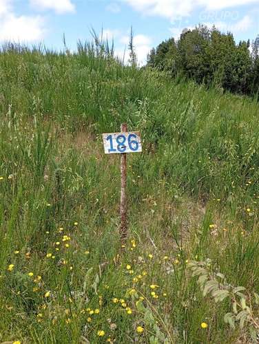 Parcela en venta en Isla grande de Chiloé, ancud - Imagen 10