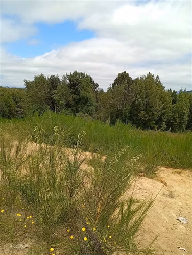 Parcela en venta en Isla grande de Chiloé, ancud