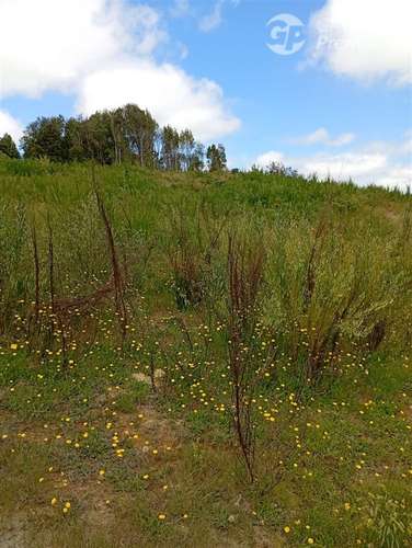 Parcela en venta en Isla grande de Chiloé, ancud - Imagen 12