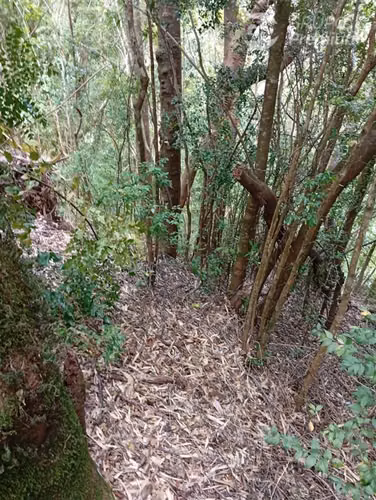 Parcela en venta en Isla grande de Chiloé, ancud