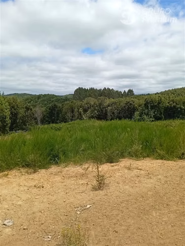 Parcela en venta en Isla grande de Chiloé, ancud