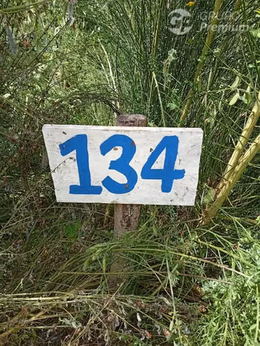 Parcela en venta en Isla grande de Chiloé, ancud