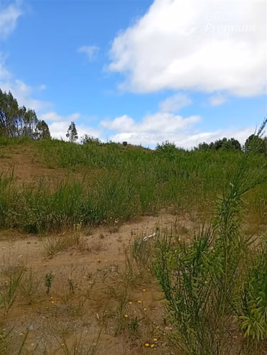 Parcela en venta en Isla grande de Chiloé, ancud
