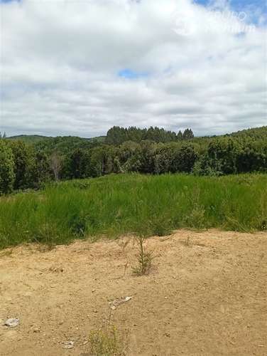 Parcela en venta en Isla grande de Chiloé, ancud - Imagen 3