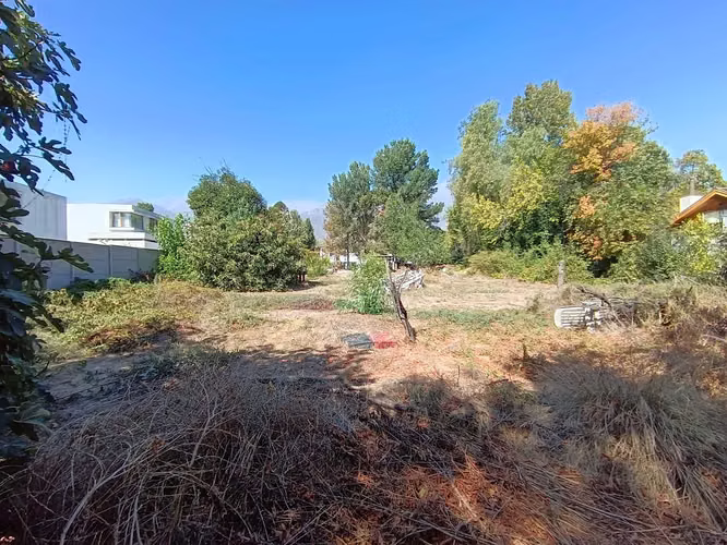TERRENO 3.000 m2, plaza Ossandón, 30x100 mt (154947)