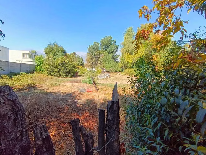 TERRENO 3.000 m2, plaza Ossandón, 30x100 mt (154947)