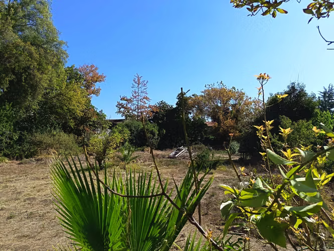 TERRENO 3.000 m2, plaza Ossandón, 30x100 mt (154947)