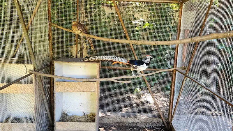 Casa en venta de 5 dorm. en Los Angeles
