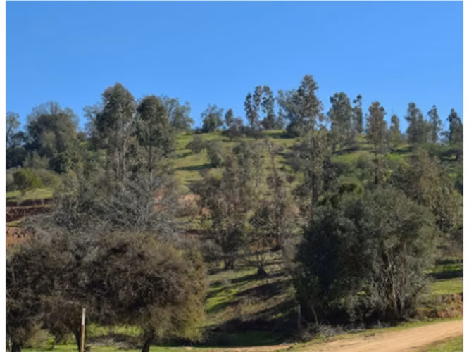 Venta de parcela en Villa Alemana, 5.000 m2. 47 M$