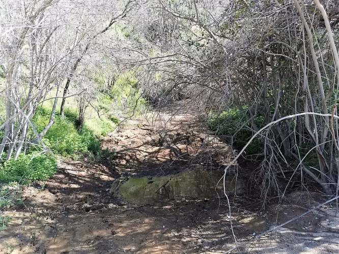 Venta de parcela en Villa Alemana, 5.000 m2. 47 M$
