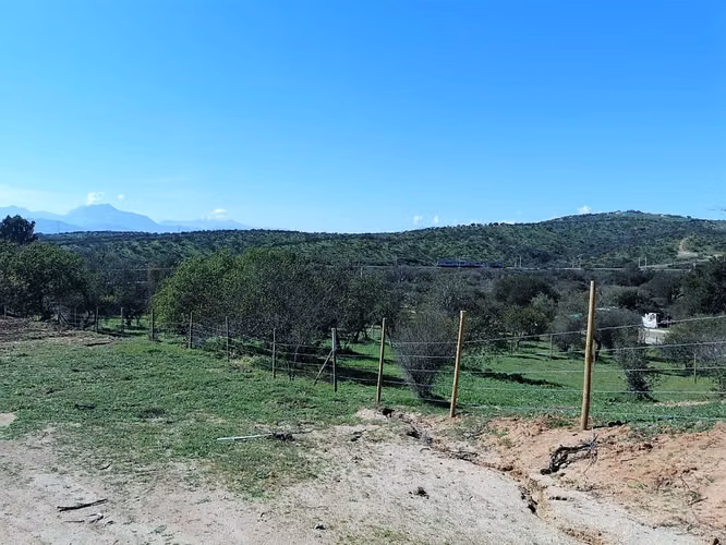 Venta de parcela en Villa Alemana, 5.000 m2. 47 M$