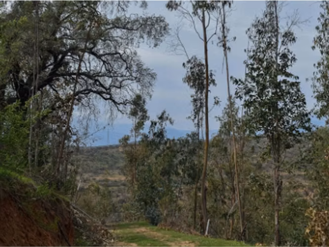 Venta de parcela en Villa Alemana, 5.000 m2. 47 M$