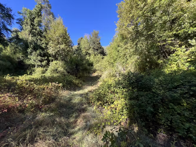 Vendo hermoso terreno, sector los Pellines, camino a las termas de Chillan