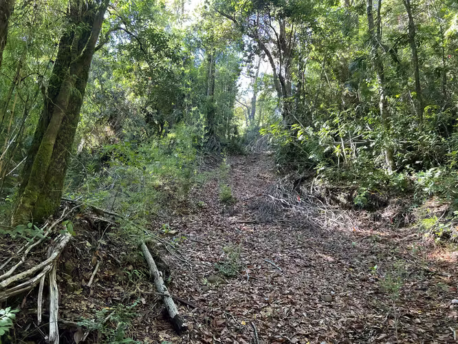 Vendo hermoso terreno, sector los Pellines, camino a las termas de Chillan