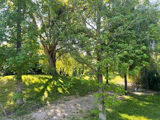 Oportunidad, casa en un terreno de 5000 mts2, tranquilidad